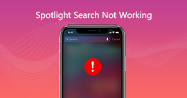 Ricerca Spotlight per iPhone non funzionante