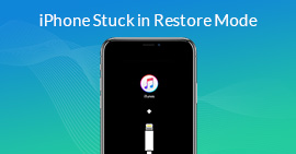 iPhone Stuck in Restore Mode