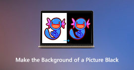 Make the Background of a Picture Black