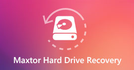 Obnova jednotky Maxtor Hard Drive