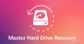 Maxtor Hard Drive Recovery