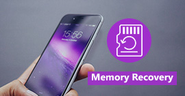 Memory Recovery