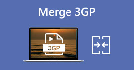 Merge 3GP