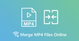 Flet MP4 -filer online