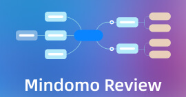 Recensione Mindomo