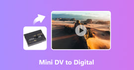 Mini DV to Digital