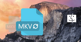 Mac için MKV Converter