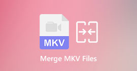 MKV合并