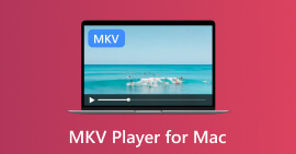 MKV-afspiller til Mac