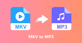Mkv To Mp3