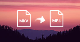 MKV till MP4