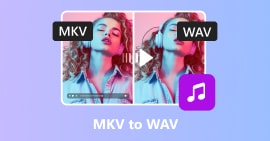 MKV to WAV