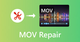 MOV reparatie