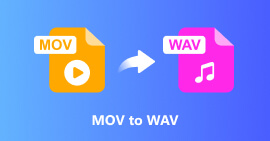 Mov To Wav