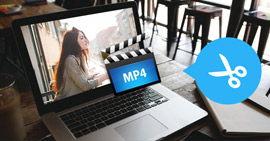 Top Beste MP4-snijder om MP4-videobestand te knippen / trimmen