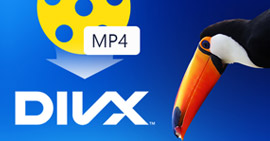 Hogyan lehet átalakítani az MP4 fájlt DivX-ként