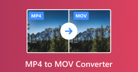 MP4 til MOV Converter