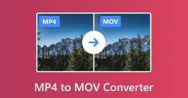 MP4 to MOV Converter