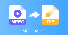 MPEG 到 GIF