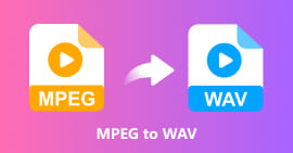 MPEG til WAV