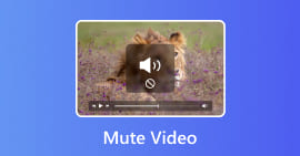 Mute Video