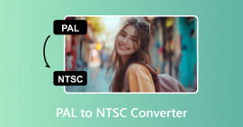 Pal naar NTSC-converter