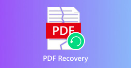 Pdf Recovery