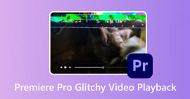 Riproduzione video glitch di Premiere Pro