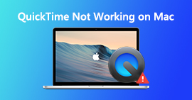 Mac에서 QuickTime이 작동하지 않음
