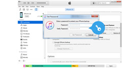 iPhone Backup Password