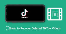 삭제된 TikTok 동영상 복구