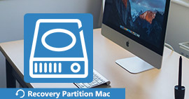 Partition Recovery