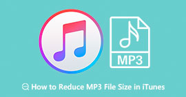 Riduci le dimensioni del file MP3 in iTunes