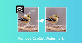 Αφαιρέστε το υδατογράφημα CapCut