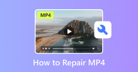 Reparera MP4