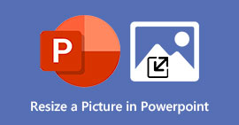Resize a Picture In PowerPoint