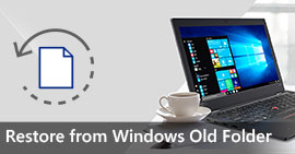 Восстановить из старой папки Windows