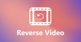 Reverse a Video