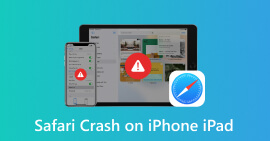 iPhone iPad의 Safari 충돌