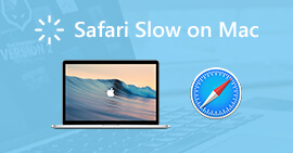 Mac에서 Safari 슬로우