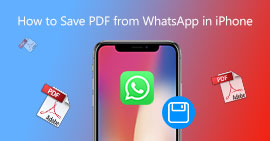 Save PDF from WhatsApp in iPhone