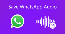 Salva l'audio di WhatsApp