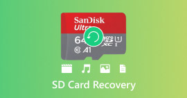 SD Card Recovery