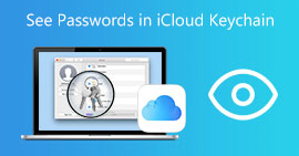 See Passwords in iCloud Keychain