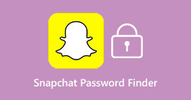 Ricerca password Snapchat