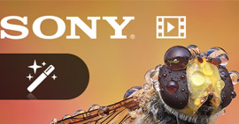 Видеоредактор Sony