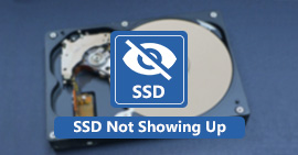 SSD가 표시되지 않음