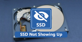 SSD沒有出現