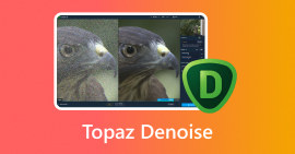 Topaz DeNoise