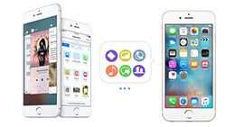 Transfer Data to New iPhone